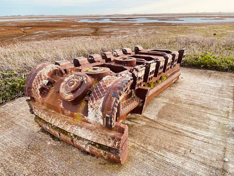 RSPB Wallasea Island - Image 2