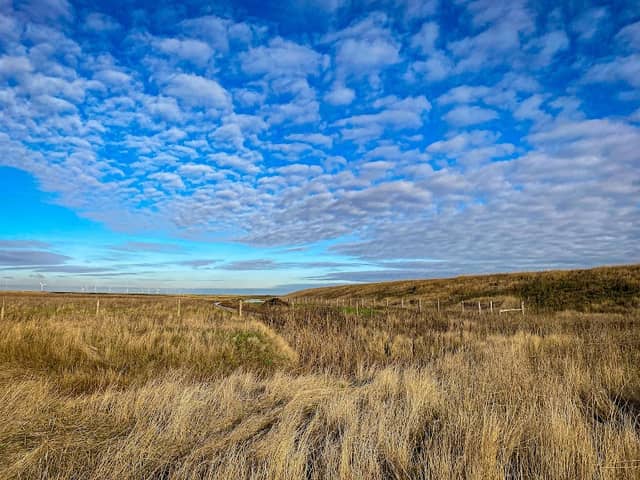 RSPB Wallasea Island - Image 3