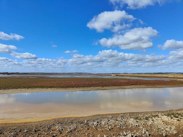 RSPB Wallasea Island - Image 1