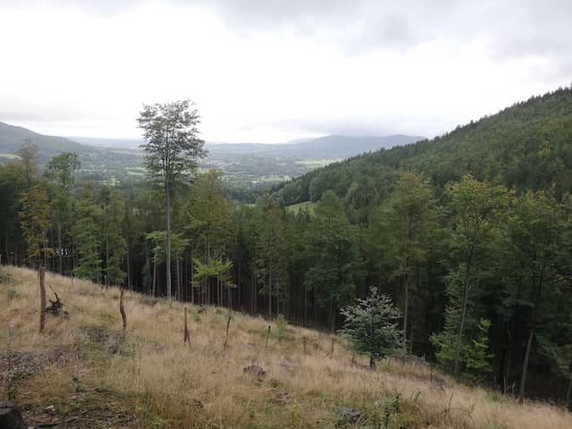 Kamenné moře na Stolové - Image 1