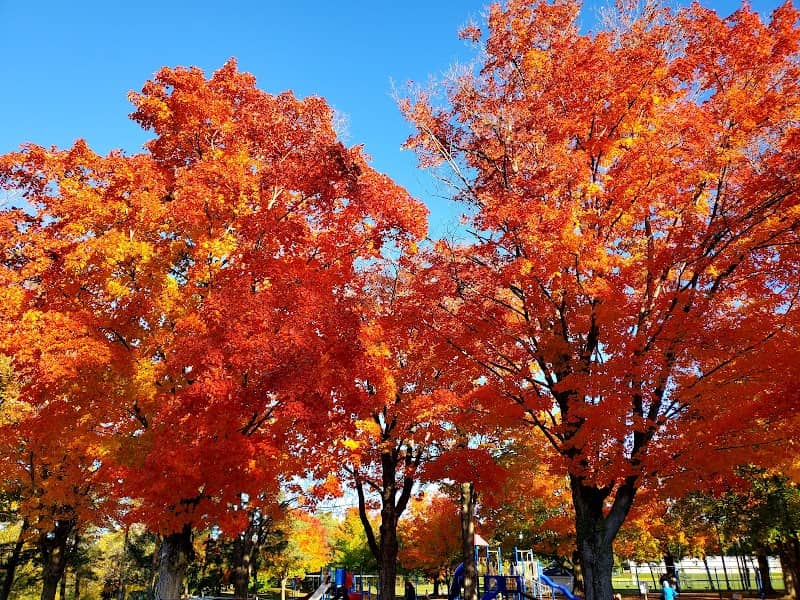 Listowel Memorial Park - Image 2