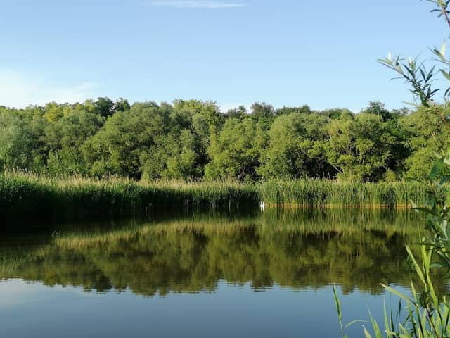 Habřina - Image 1