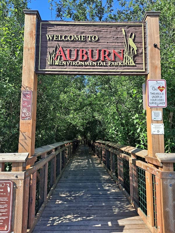 Auburn Environmental Park - Image 2