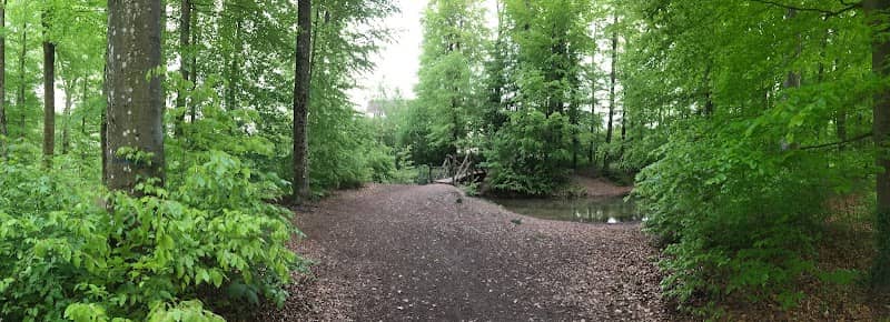Waldbrücke - Image 1