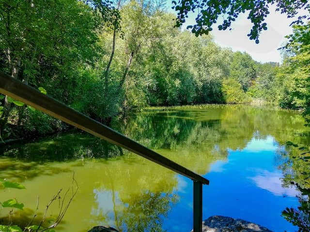 Kollegger Teich - Image 1