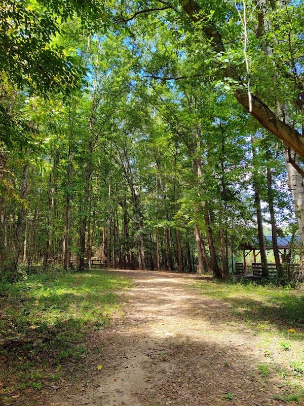 Big Haynes Nature Trail - Image 2