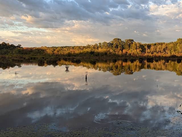 Big Haynes Nature Trail - Image 1