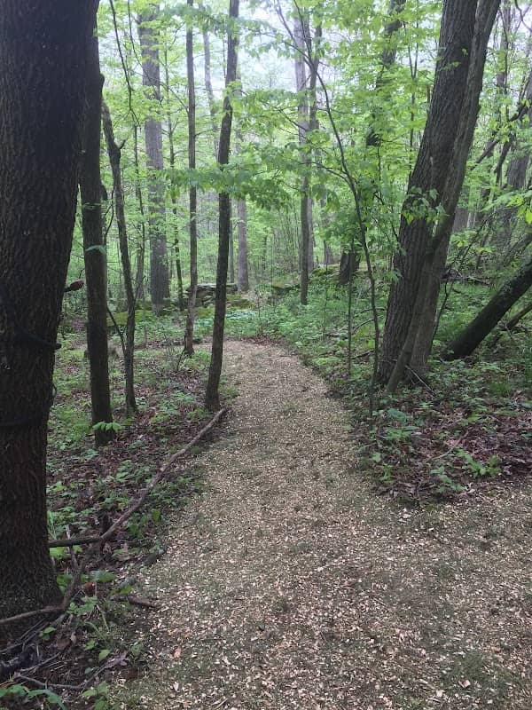 Camp Avery - Image 1