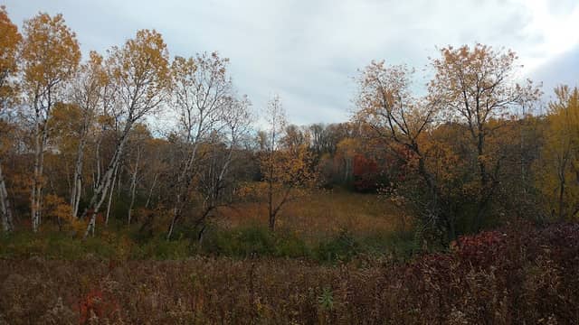 Priory Neighborhood Preserve - Image 1