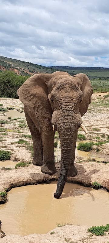 Footprints Adventure Tours & Shuttles - Image 2