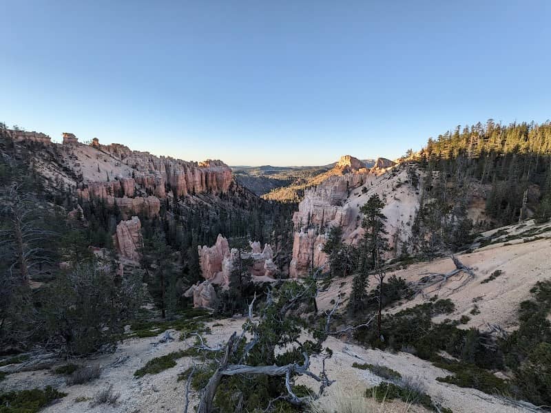 Pink Cliffs - Image 3