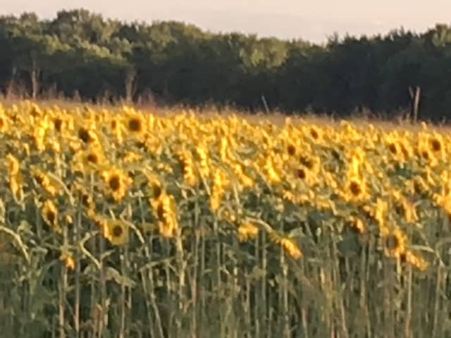Belle Plaine - Image 1