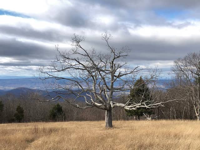 Tanners Ridge Overlook - Image 2
