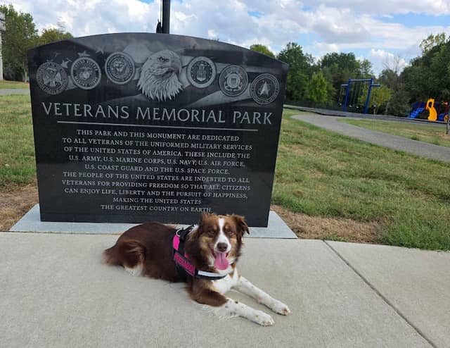 Veterans Memorial Park - Image 1