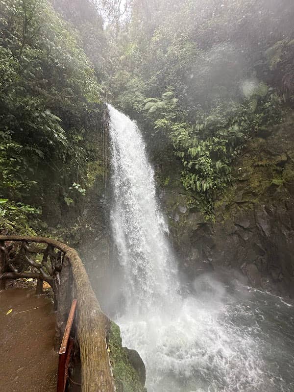 La Paz Waterfall Gardens Nature Park - Image 2