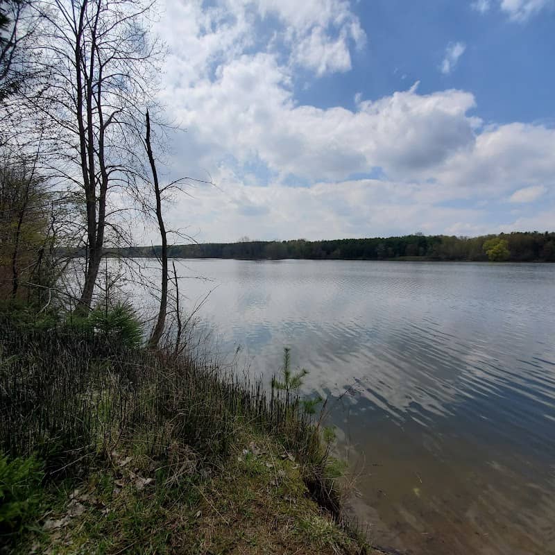 Roth Park - Image 2