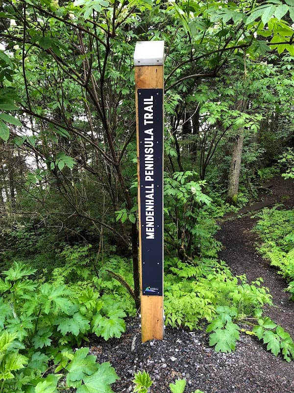 Mendenhall Peninsula Trail - Image 3