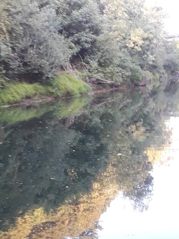 Village Mill Park - Image 3
