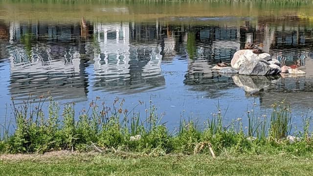 Miners Landing Park - Image 2