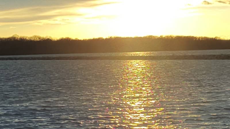 Rend Lake State Waterfowl Management Area - Image 2