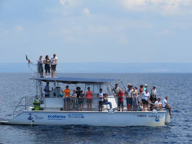 Jonian Dolphin Conservation - Image 2