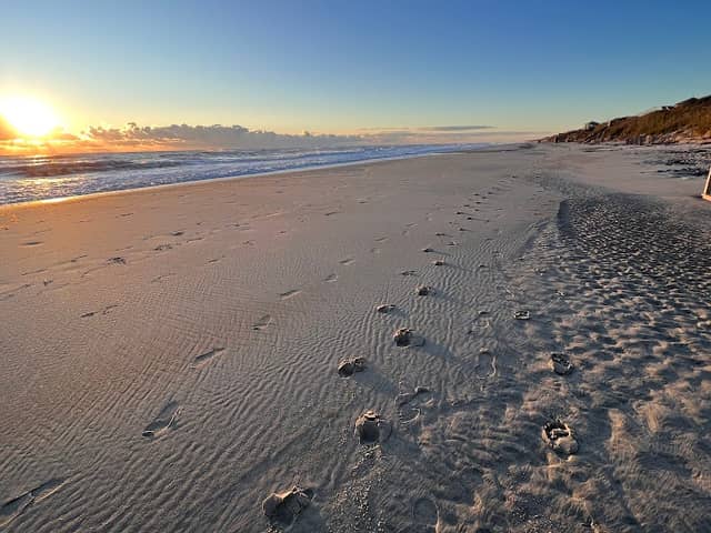 Coral Beach Access - Image 1