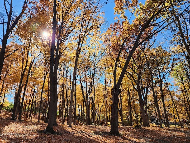 Lehigh Memorial Park - Image 1