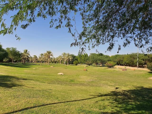 Aliskan park - Image 2