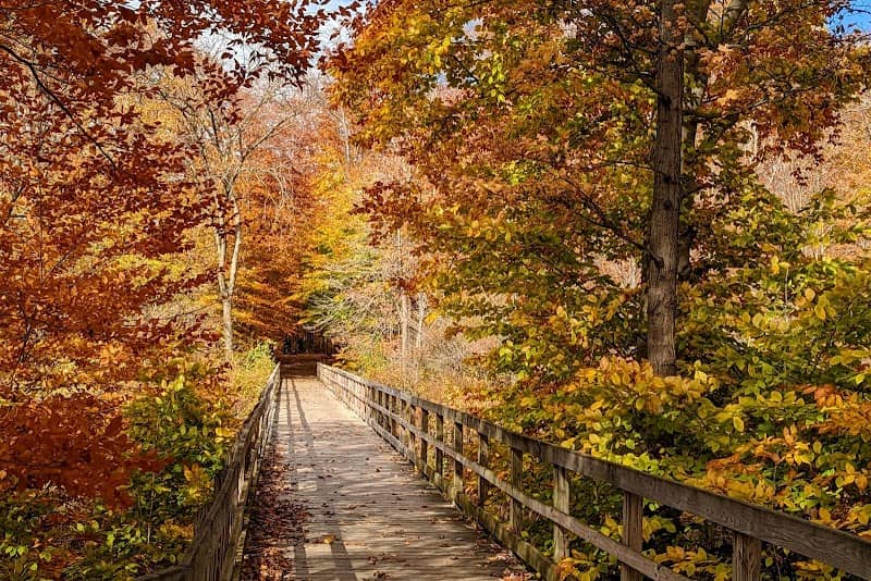 Brunswick Lake Park - Image 1