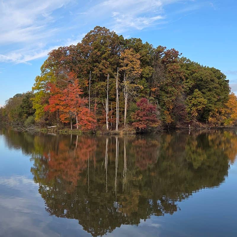 Brunswick Lake Park - Image 2