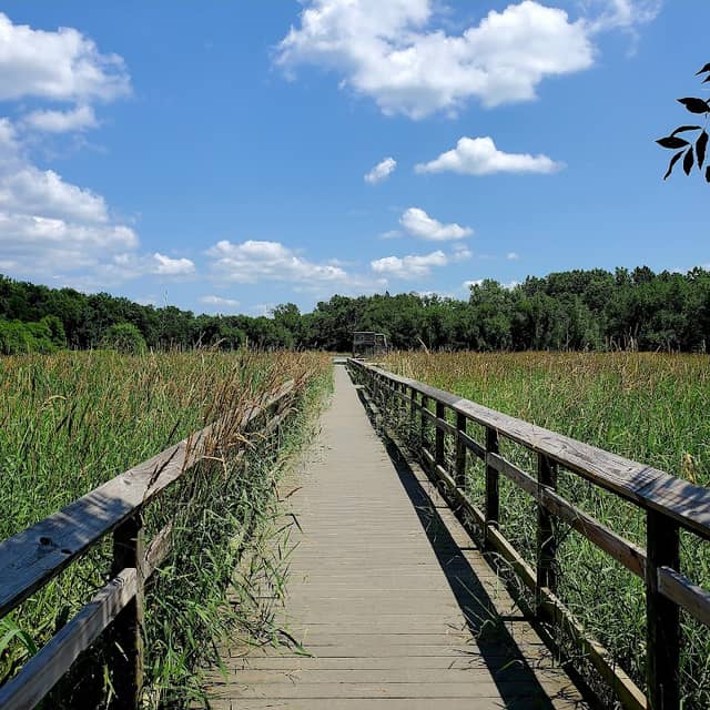 Blackfork Wetlands - Image 1