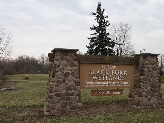 Blackfork Wetlands - Image 2