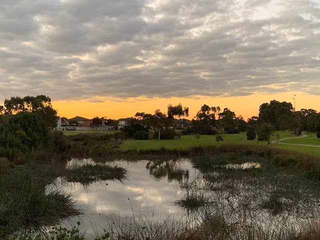 Lake View Boulevard Wetlands - Image 1