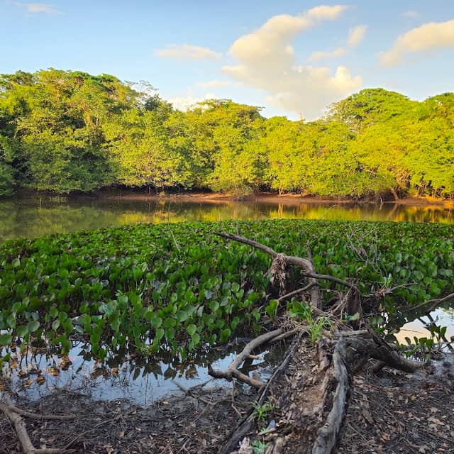 Laguna La Cueva - Image 1