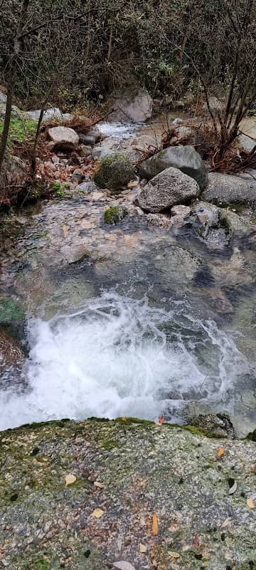Parque de lazer das Forneas - Image 1