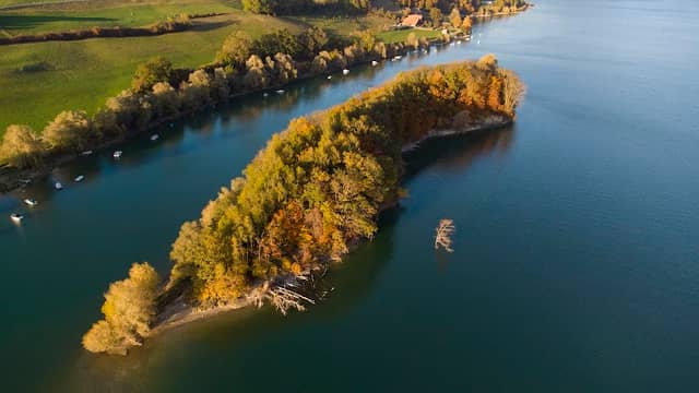 Île aux Oiseaux - Île de Redon - Image 2