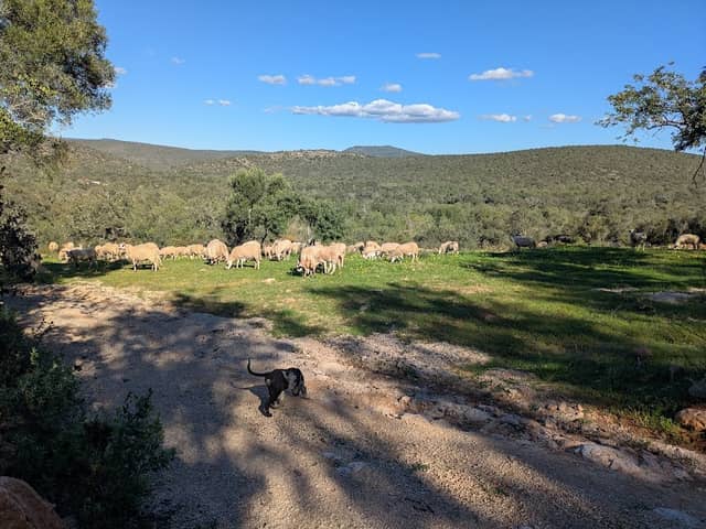 L.O.V.E. Farmstay - Image 1