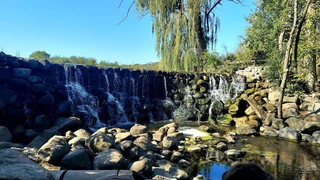 Whinall Park, Picnic Area 8 - Image 2