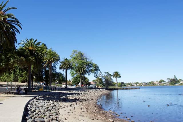 Hamilton Lake Domain - Image 2