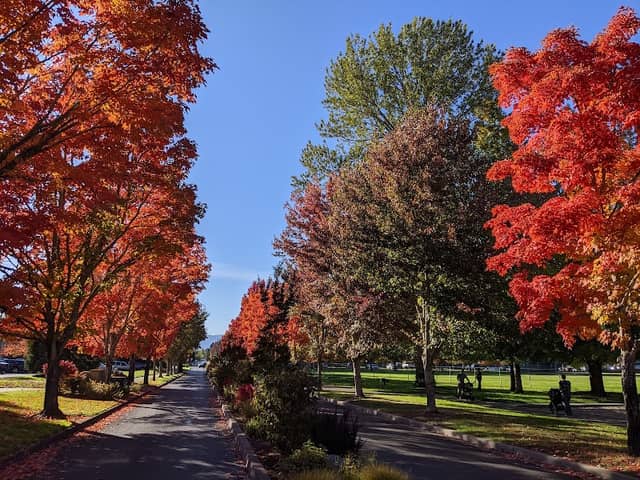 Reinhart Volunteer Park - Image 2