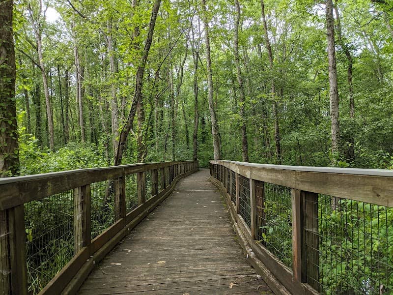 Ebenezer Swamp Ecological Preserve - Image 1