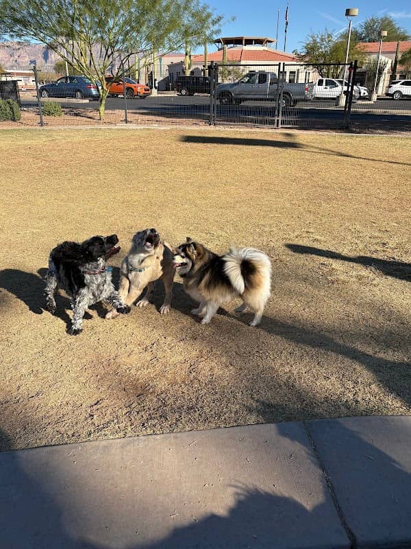 Dutchman Dog Park - Image 3