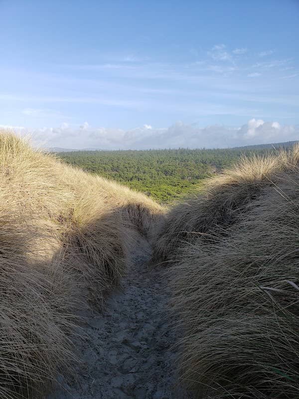Siltcoos Beach Day Use OHV Staging - Image 1