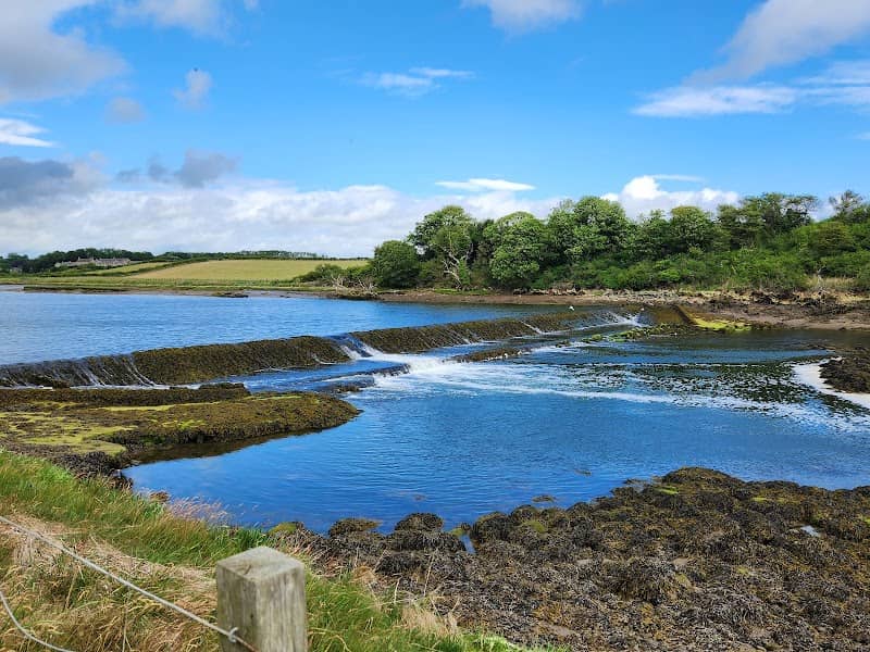 River Coquet at Warkworth - Image 1