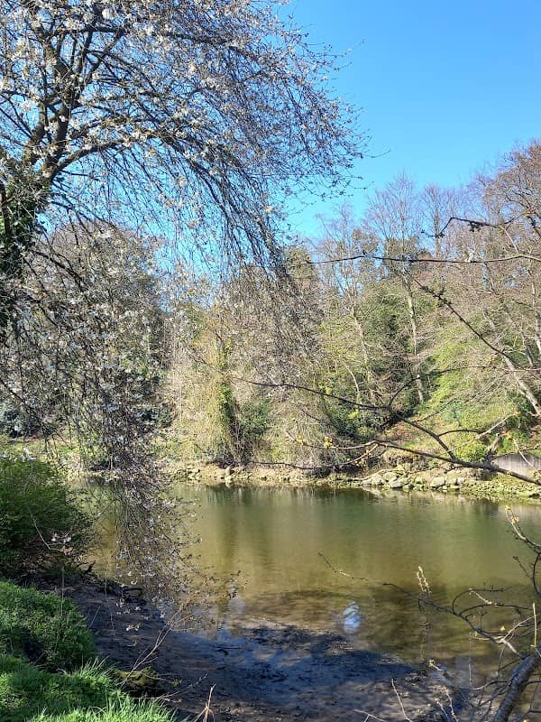 River Coquet at Warkworth - Image 3