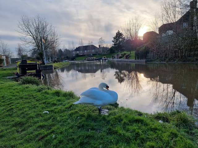 Herefordshire and Gloucestershire Canal, Over Basin - Image 1