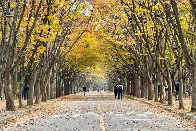 Incheon Grand Park - Image 1