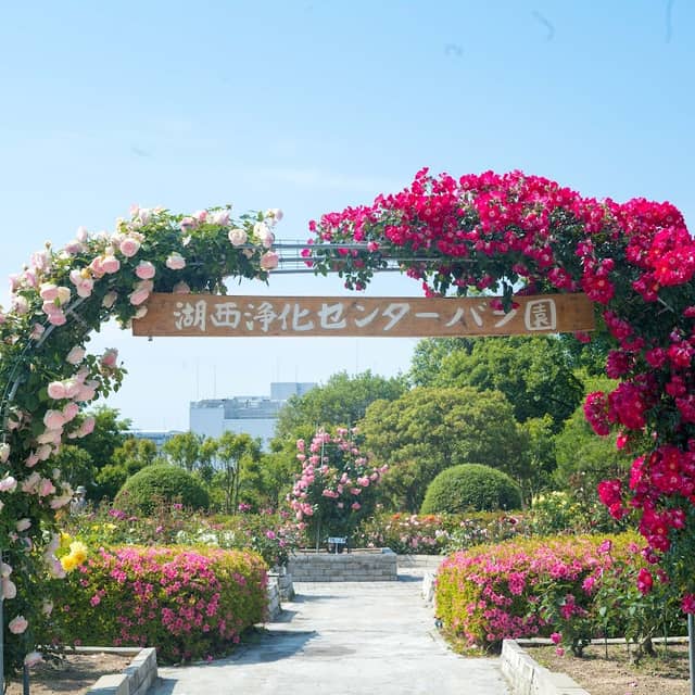 湖西浄化センターバラ園 - Image 1