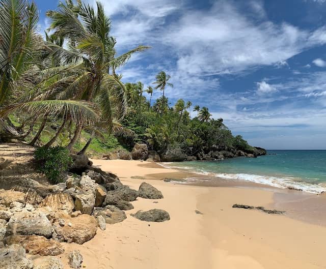 Playa Preciosa- Rio San Juan - Image 3