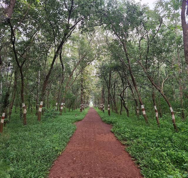 Biodiversity Park, Talpuri - Image 1